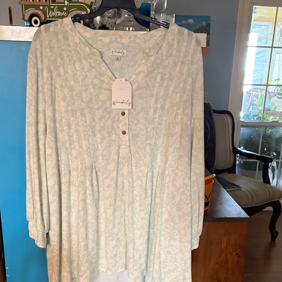 Wonderly Tops - Women’s Wonderly Soft and Comfortable Mint Blouse.